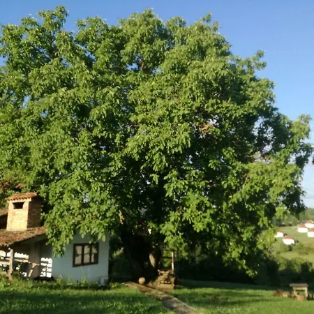 Малка Черковна Malka Cherkovna